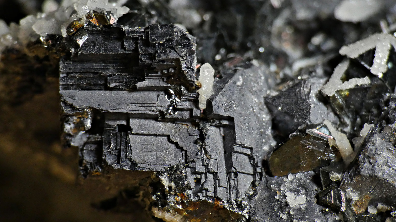 Galena
1 cm
(Autor: DPC)