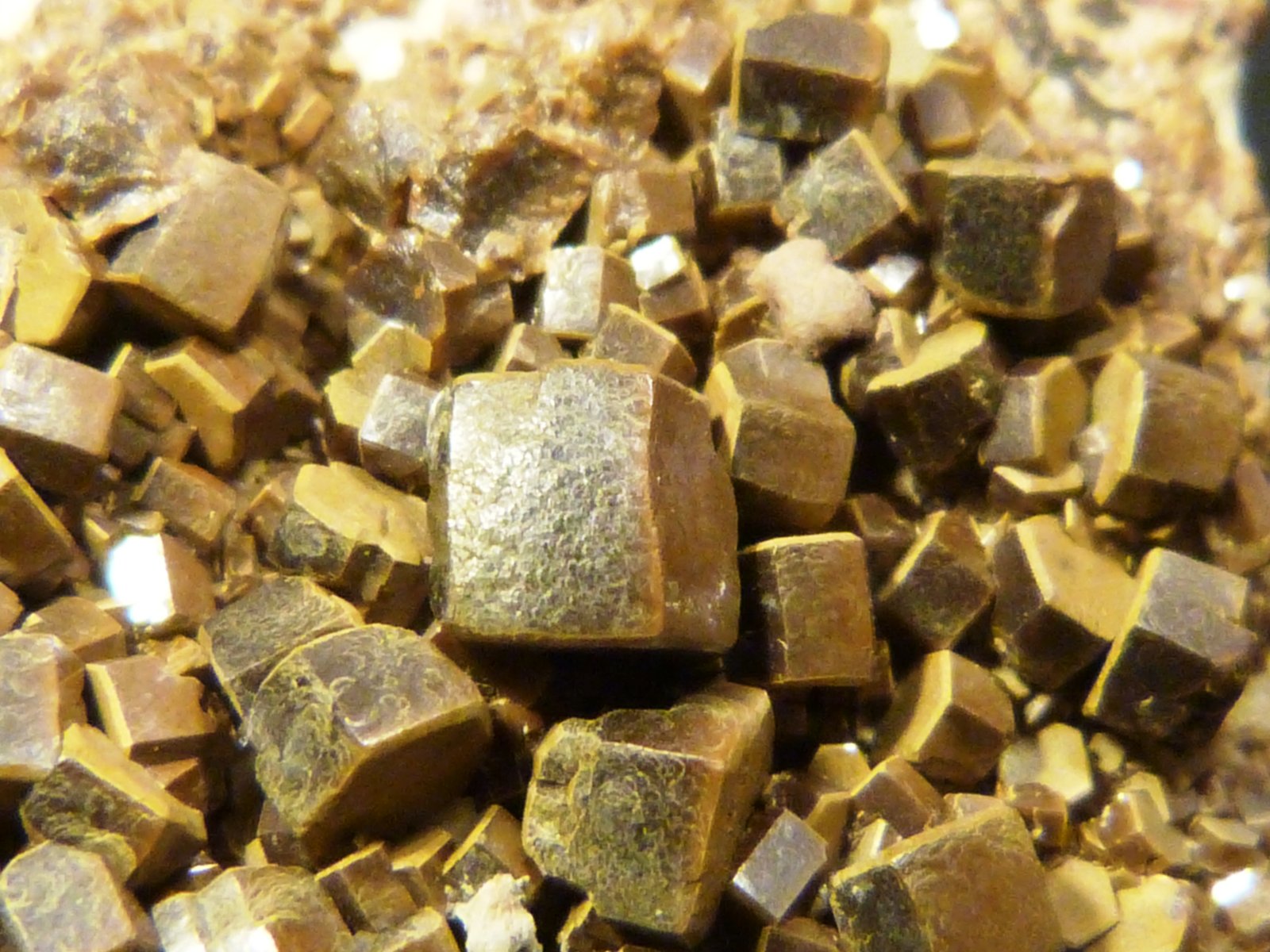 (Autor: Felipe Abolafia)