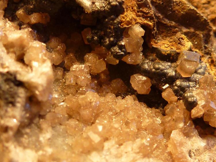 Piromorfita, Goethita
Tamaño milimétrico, fotos en formato macro
(Autor: javier ruiz martin)