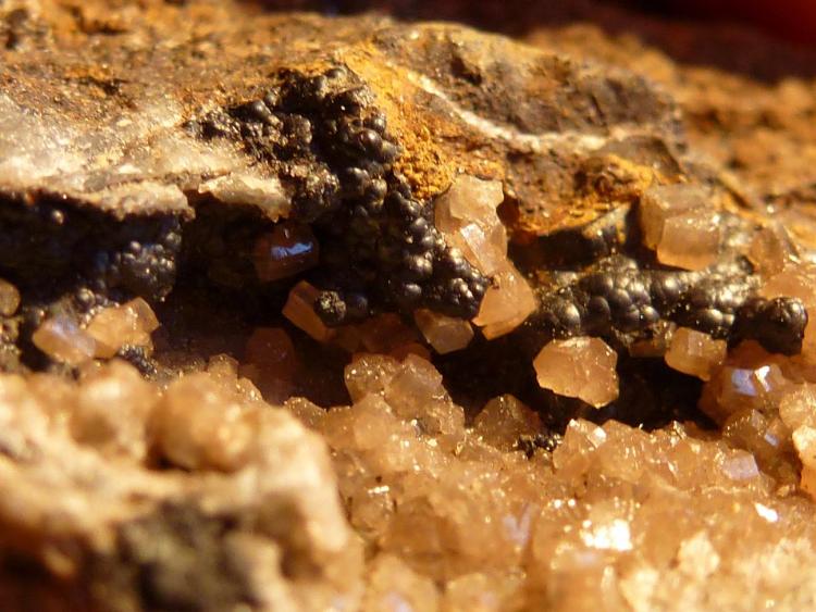Piromorfita, Goethita
Tamaño milimétrico, fotos en formato macro
(Autor: javier ruiz martin)