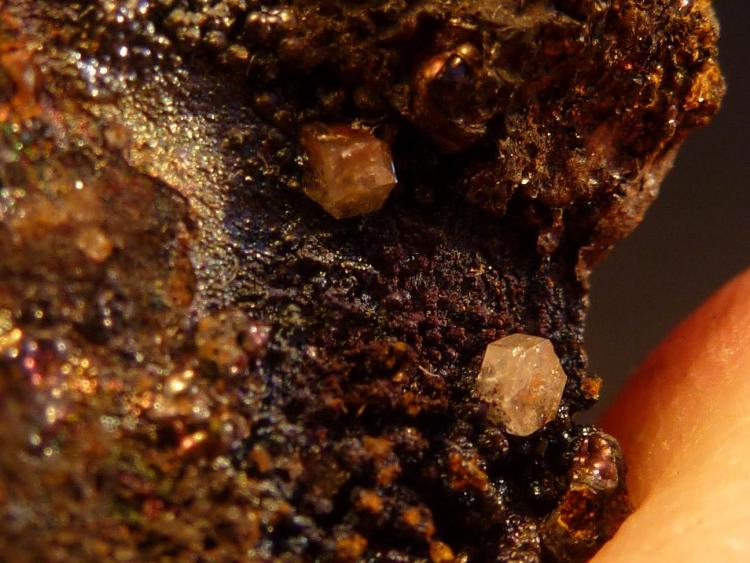 Piromorfita, Goethita
Tamaño milimétrico, fotos en formato macro
(Autor: javier ruiz martin)
