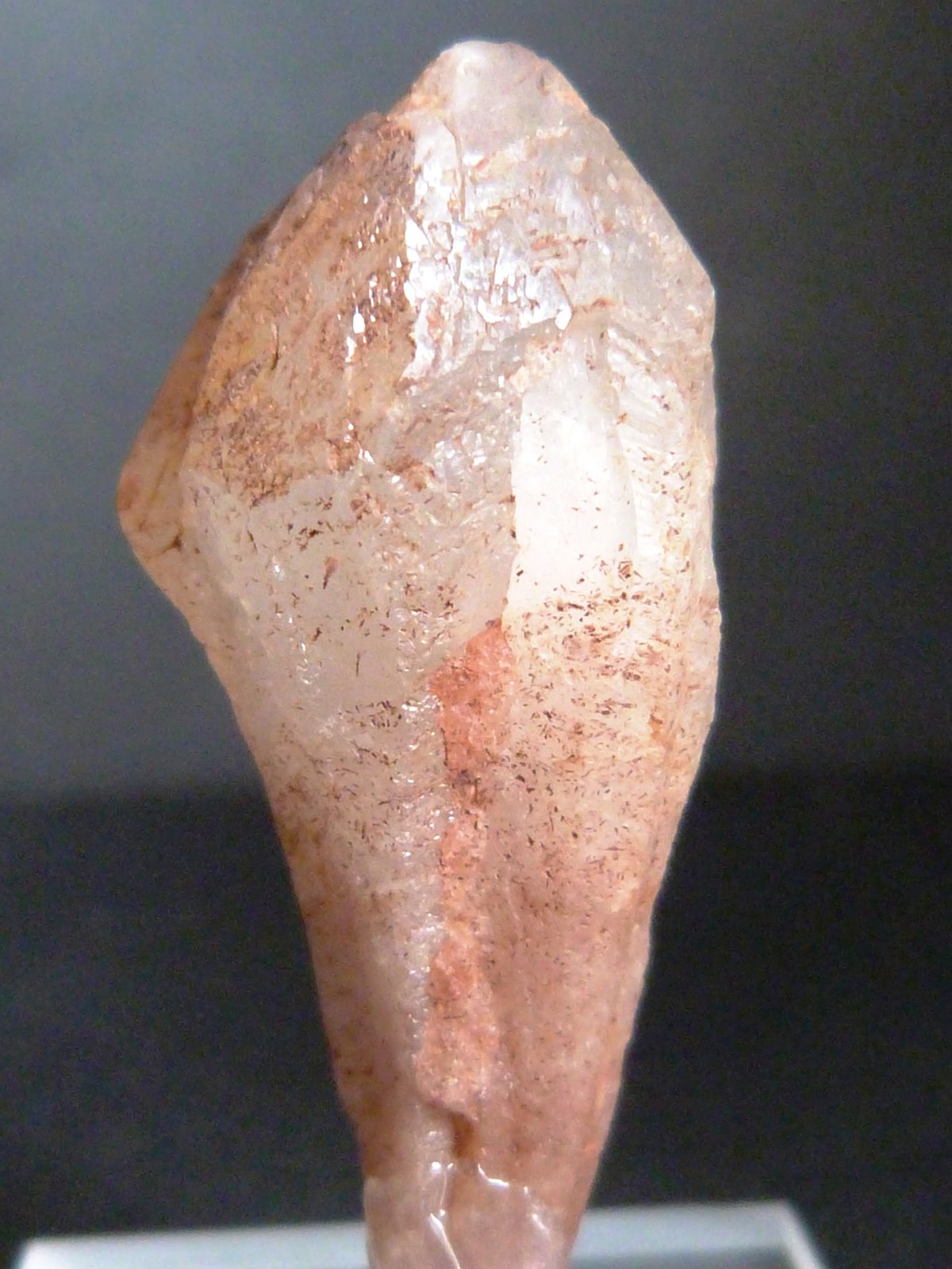 (Autor: Felipe Abolafia)