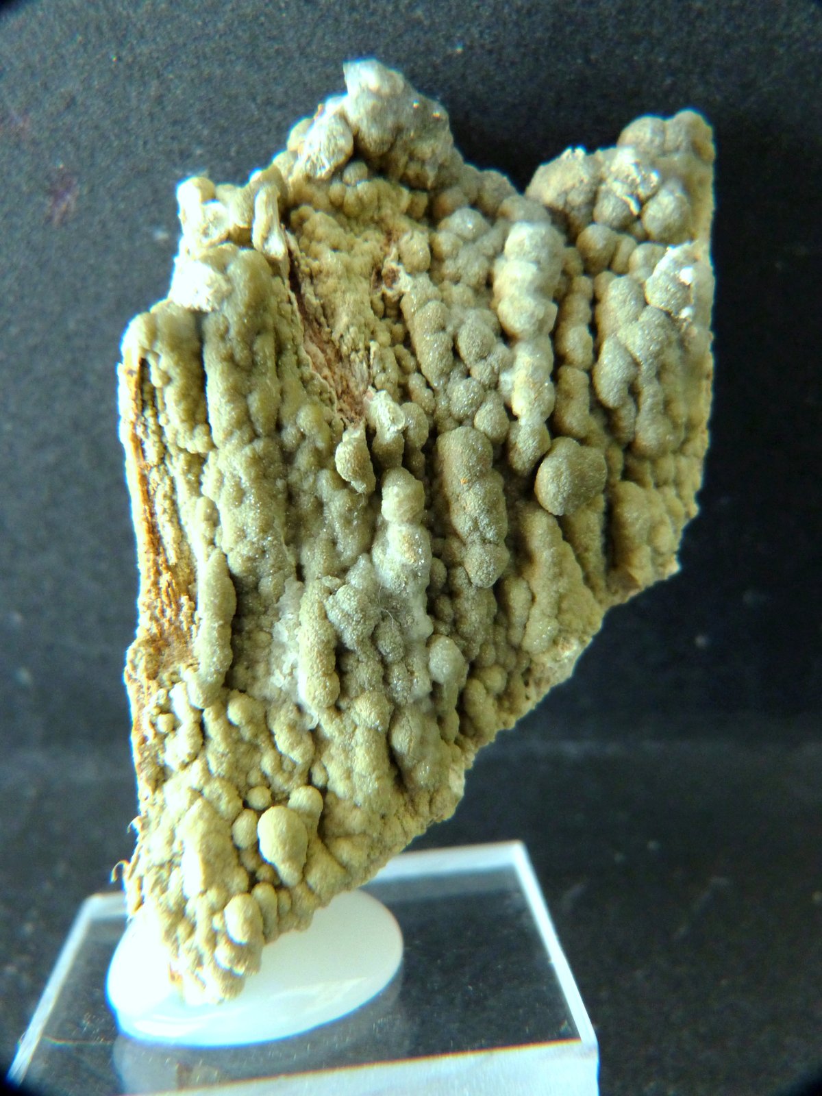Vanadinita
4 x 5,5 x 1,5 cm.
(Autor: Felipe Abolafia)
