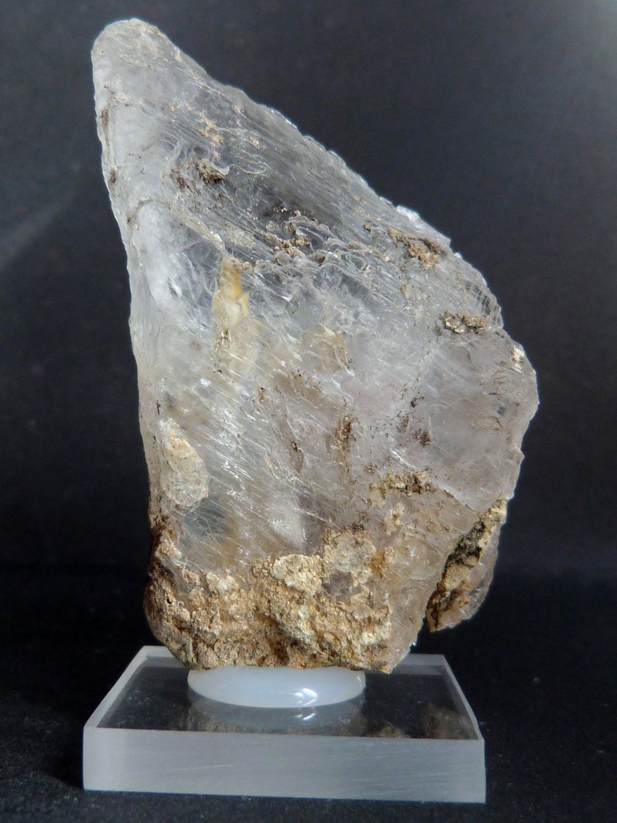 Yeso
6 x 3,5 x 2,5 cm.
(Autor: Felipe Abolafia)