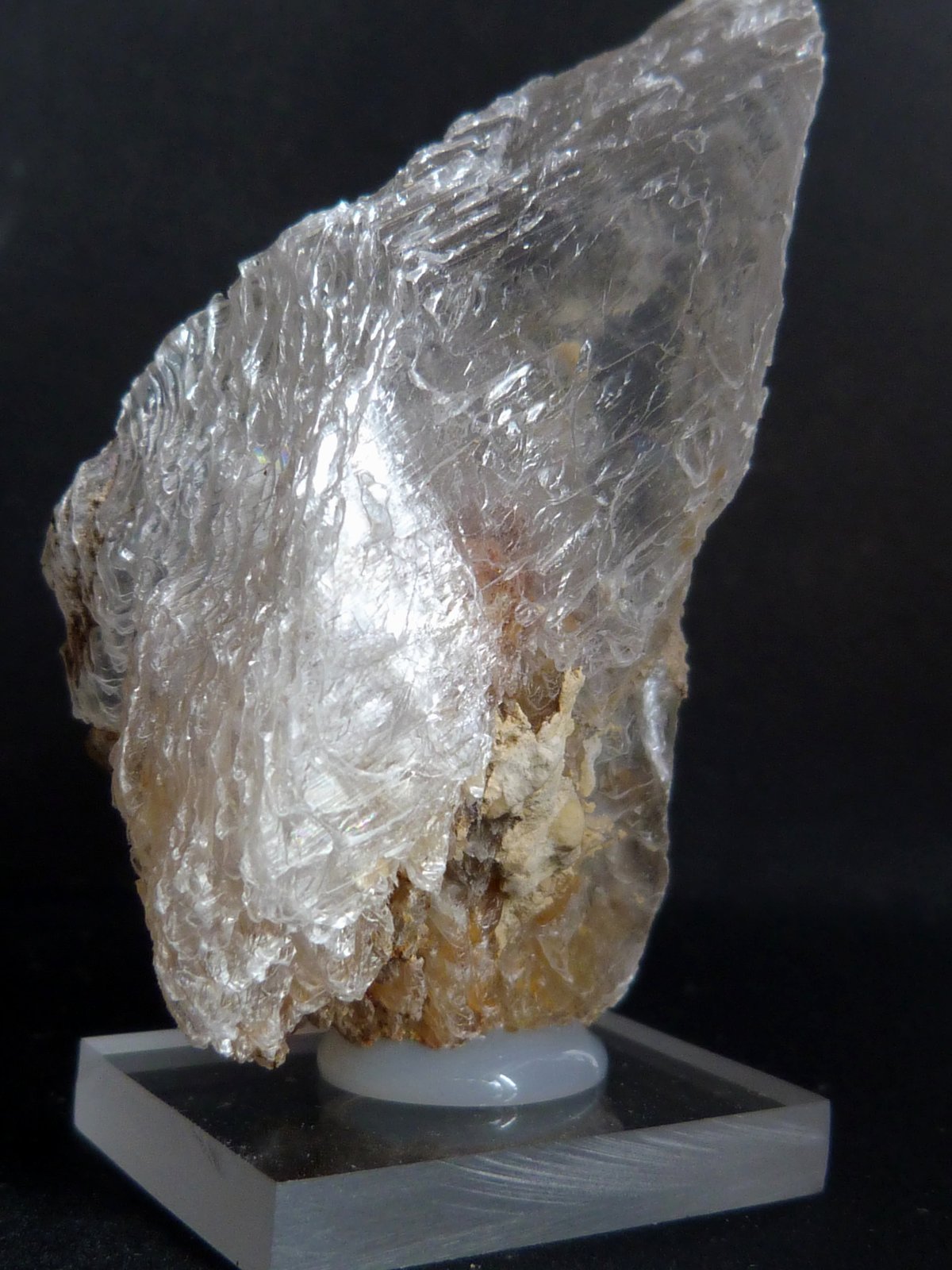 Yeso
6 x 3,5 x 2,5 cm.
(Autor: Felipe Abolafia)