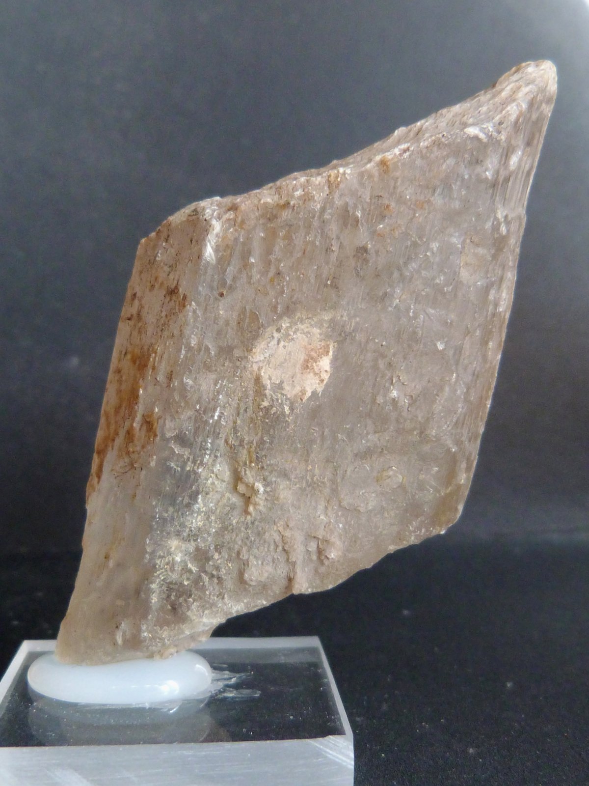 Yeso
7 x 3,5 x 2 cm.
(Autor: Felipe Abolafia)