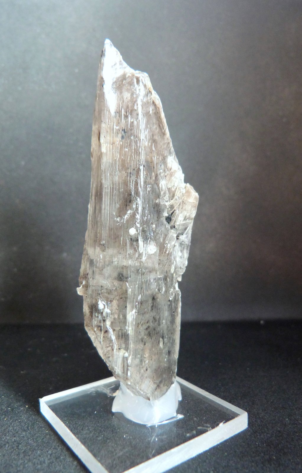 Yeso
9 x 3 x 2 cm.
(Autor: Felipe Abolafia)