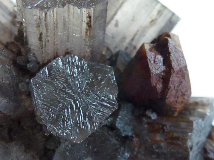 Aragonito con Cuarzo (variedad jacinto de compostela)
3 x 3 cm.
(Autor: javier ruiz martin)