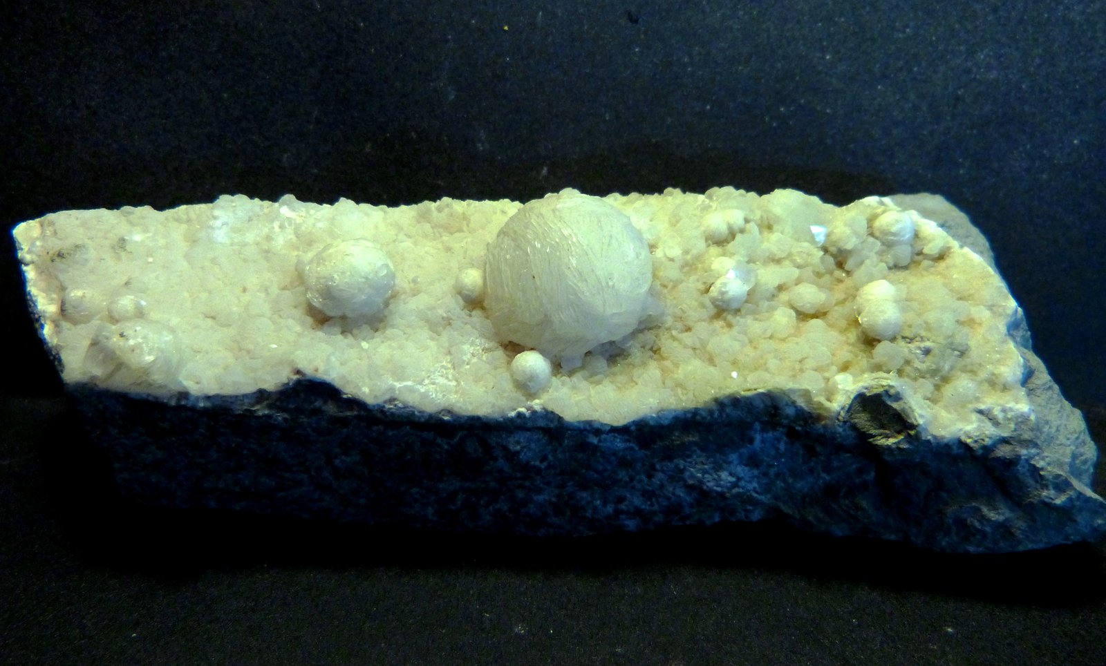 Girolita
13 x 5 x 2,5 cm.
(Autor: Felipe Abolafia)
