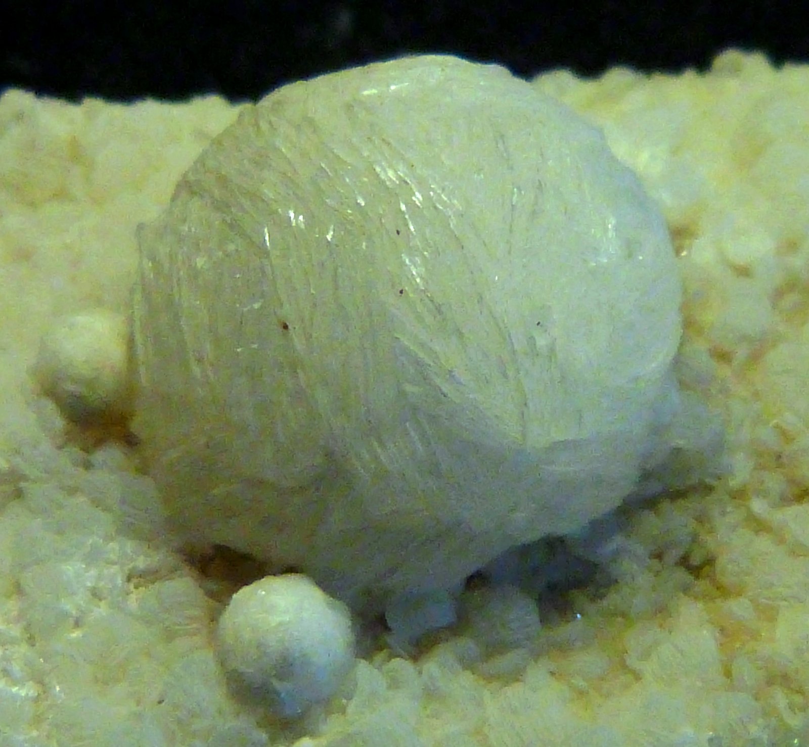 Girolita
13 x 5 x 2,5 cm.
(Autor: Felipe Abolafia)