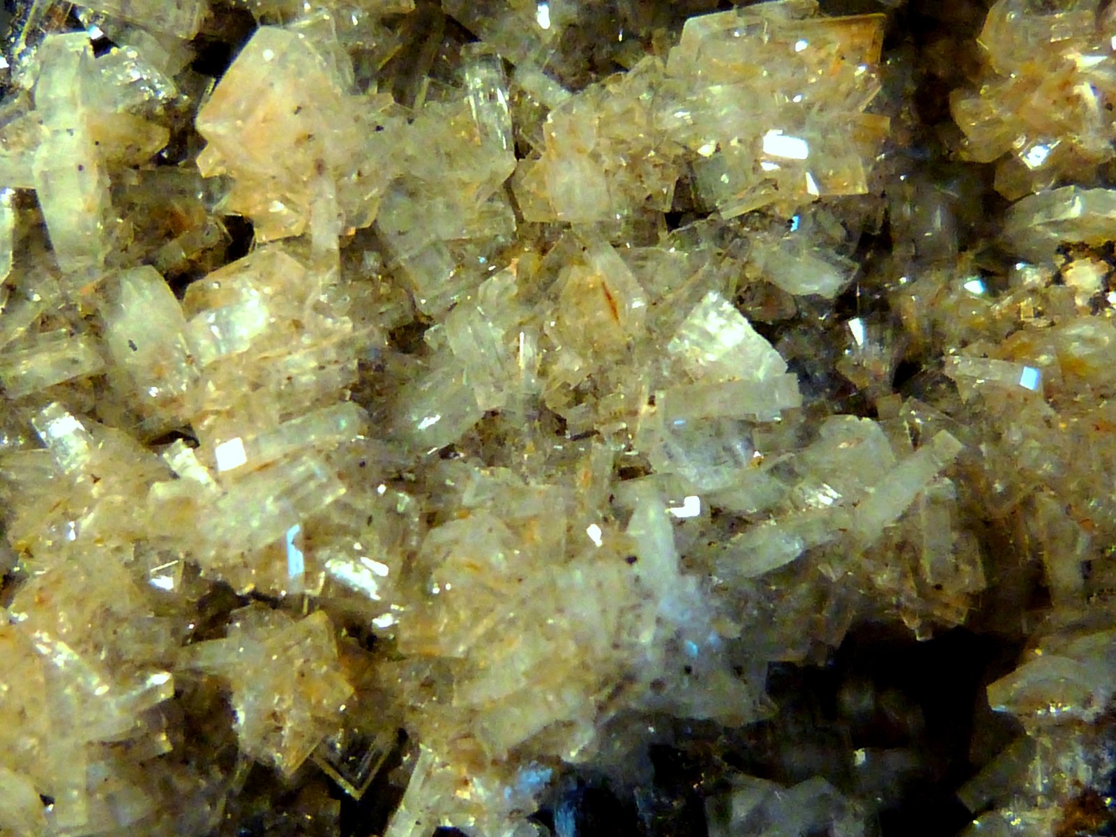 Baritina
6 x 8 x 3 cm.
(Autor: Felipe Abolafia)