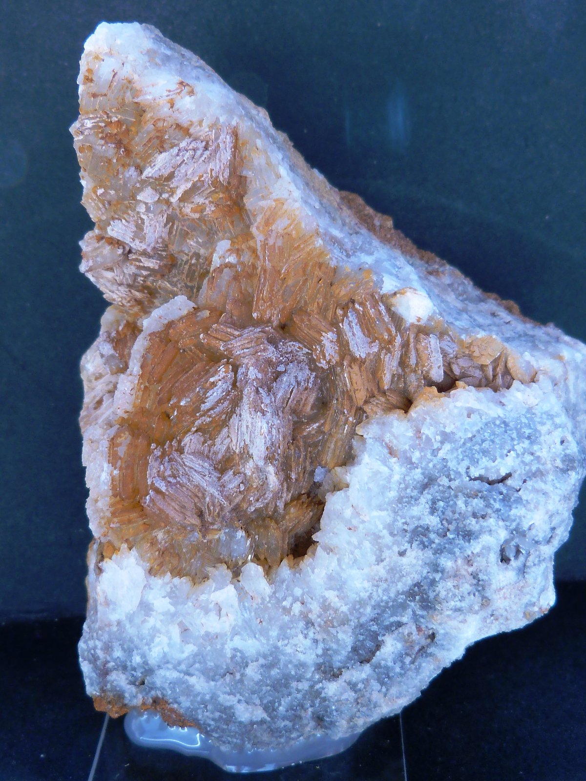 Celestina
10 x 8 x 7 cm.
(Autor: Felipe Abolafia)