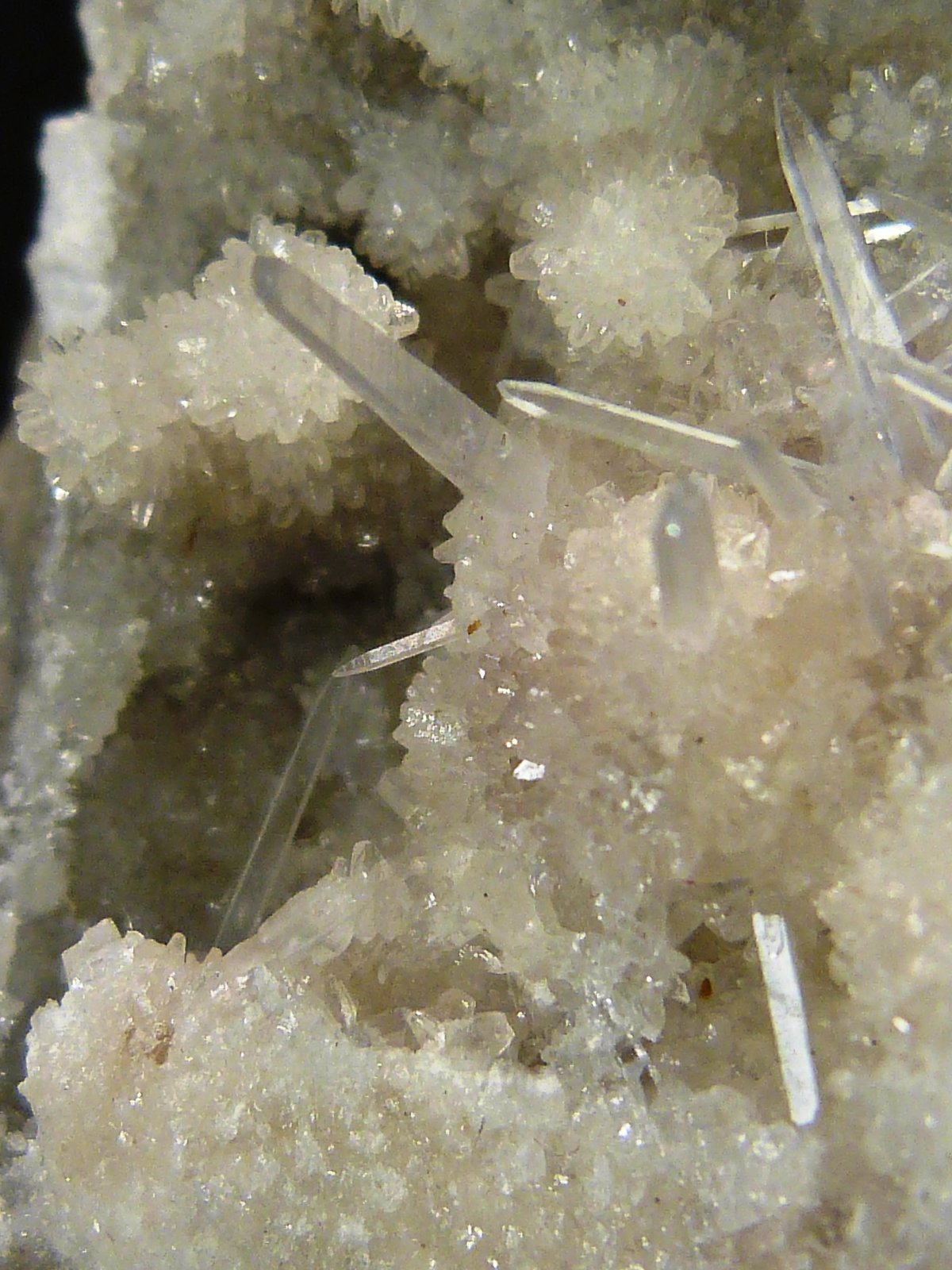 Celestina
4 x 7 x 5 cm.
(Autor: Felipe Abolafia)
