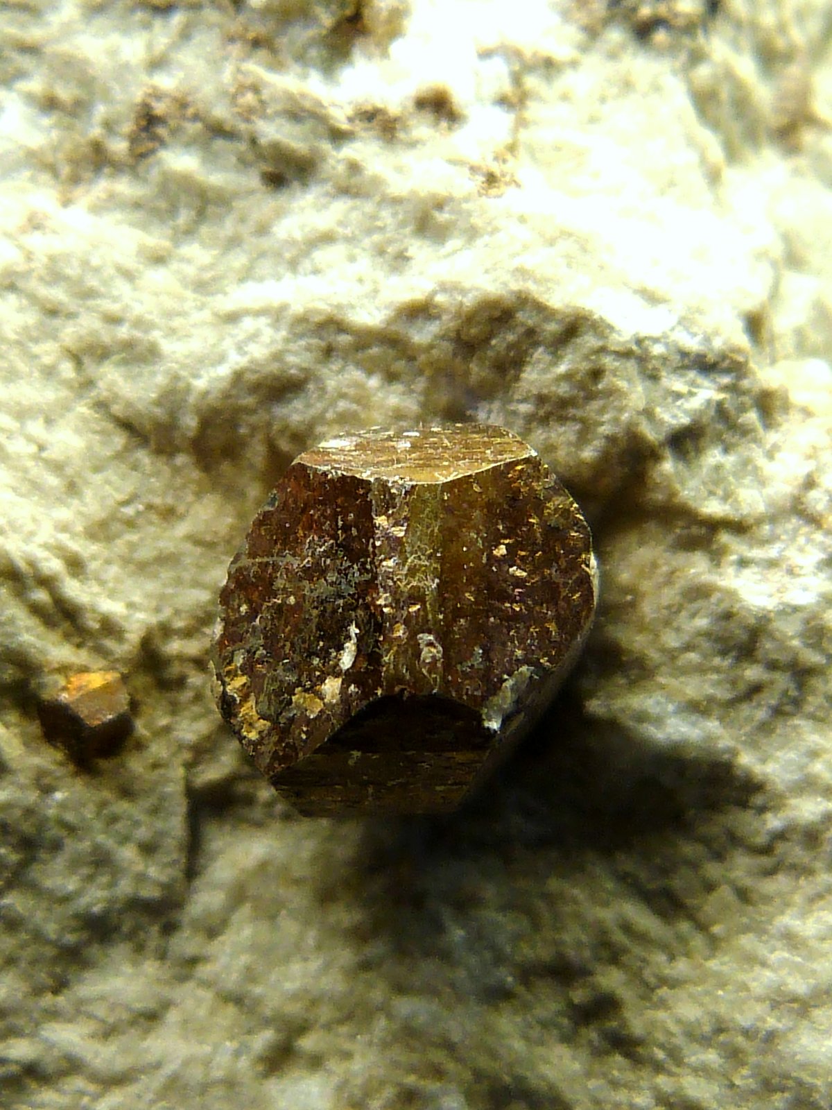 Pirita
6 x 6 x 4 cm.
(Autor: Felipe Abolafia)