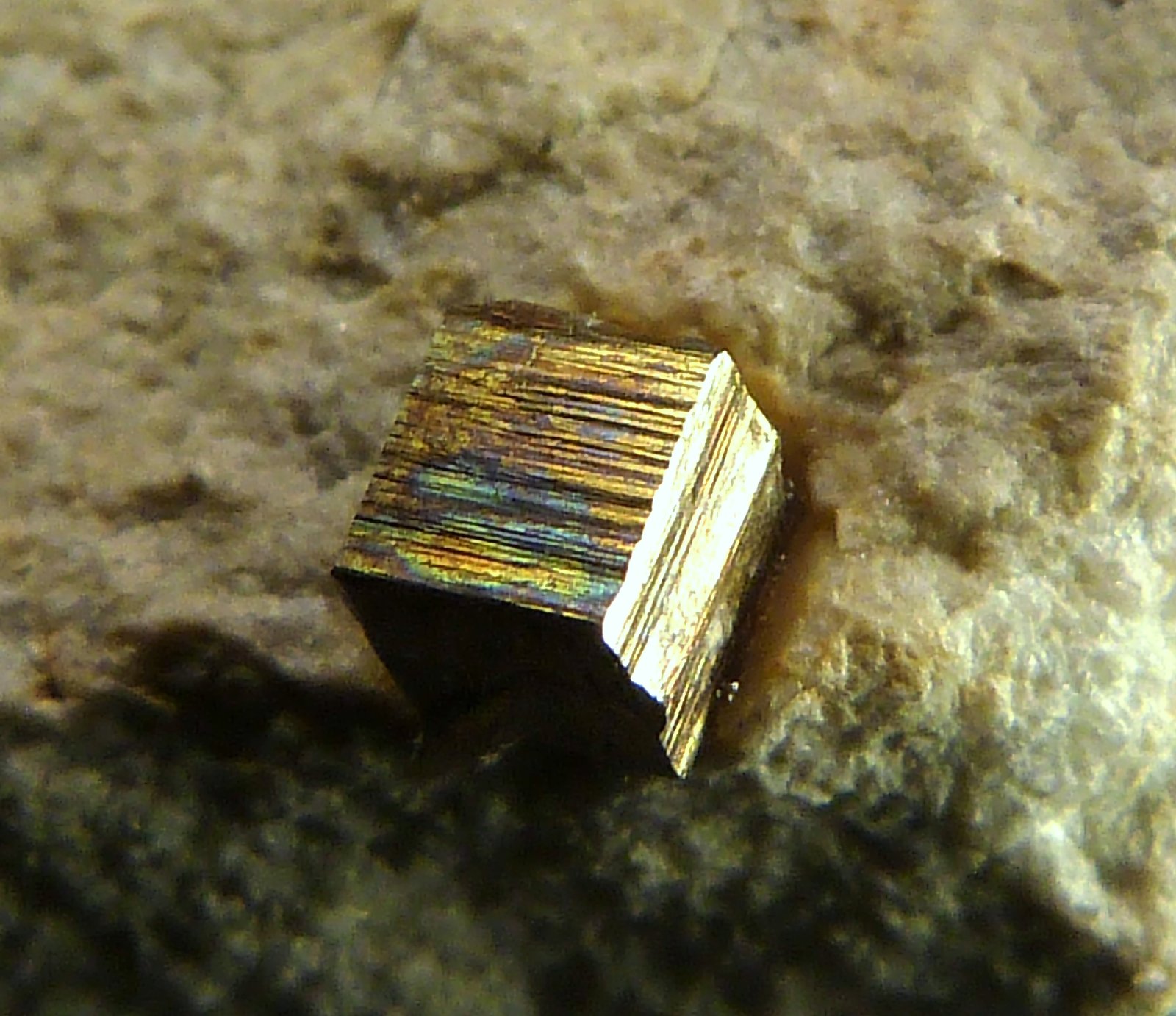 Pirita
6 x 6 x 4 cm.
(Autor: Felipe Abolafia)