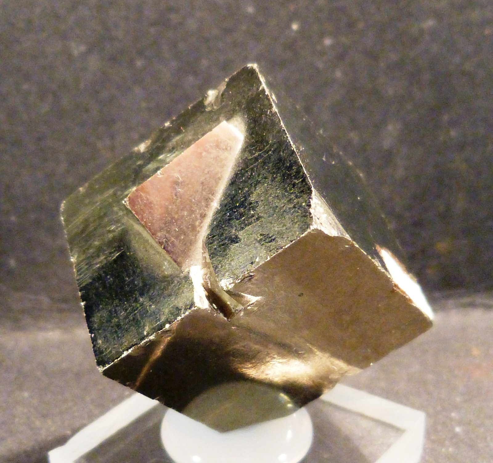 Pirita
Arista: 2 cm.
(Autor: Felipe Abolafia)