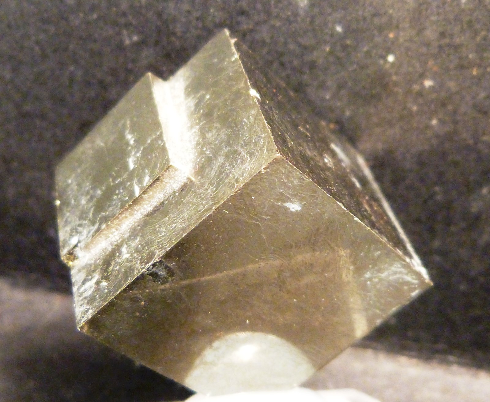 Pirita
Arista: 2,3 cm.
(Autor: Felipe Abolafia)