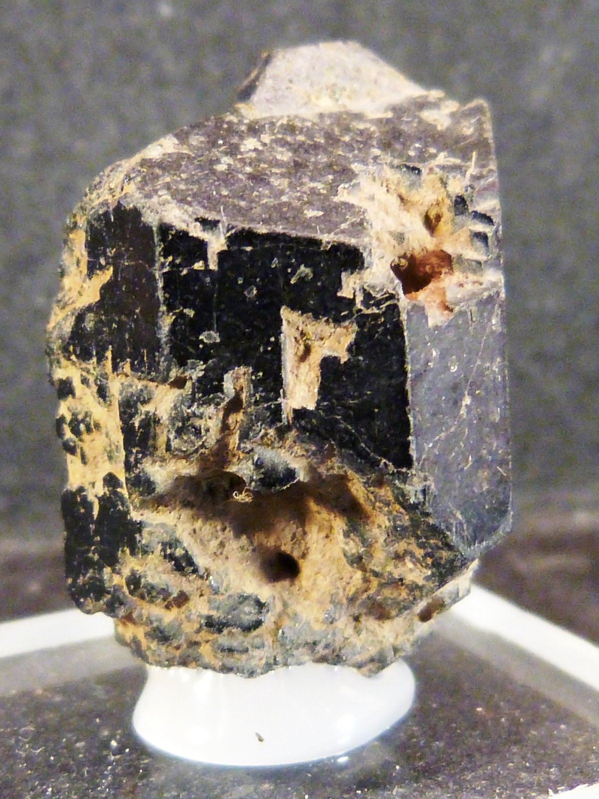Augita
2 x 2,5 x 1,5 cm.
(Autor: Felipe Abolafia)