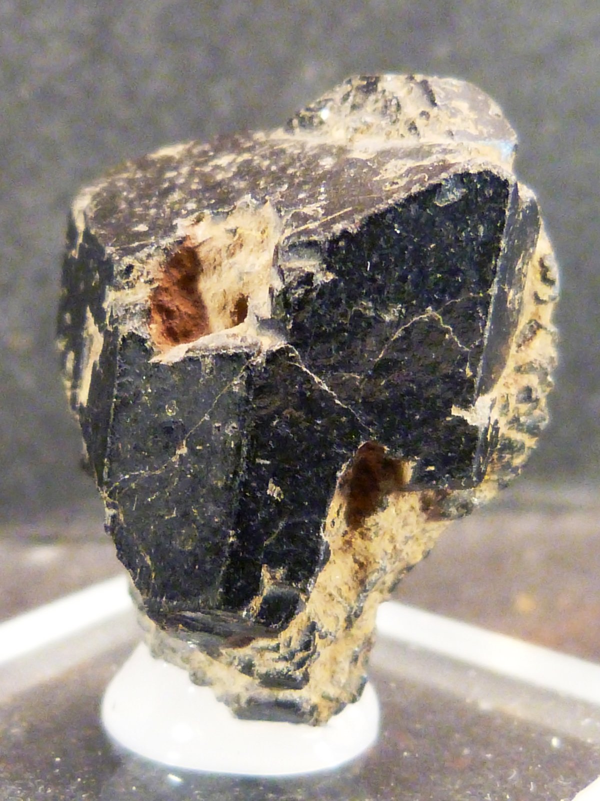 Augita
2 x 2,5 x 1,5 cm.
(Autor: Felipe Abolafia)