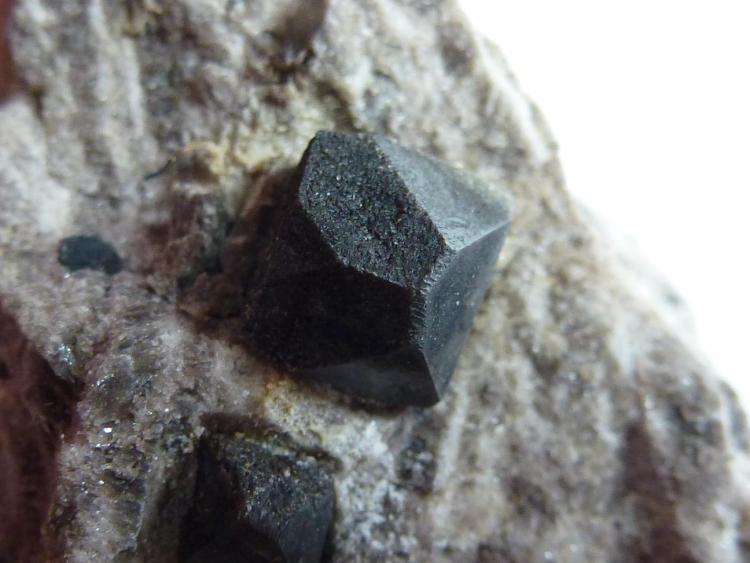 Dolomita (variedad teruelita) en yeso
5 x 4 cm.
(Autor: javier ruiz martin)