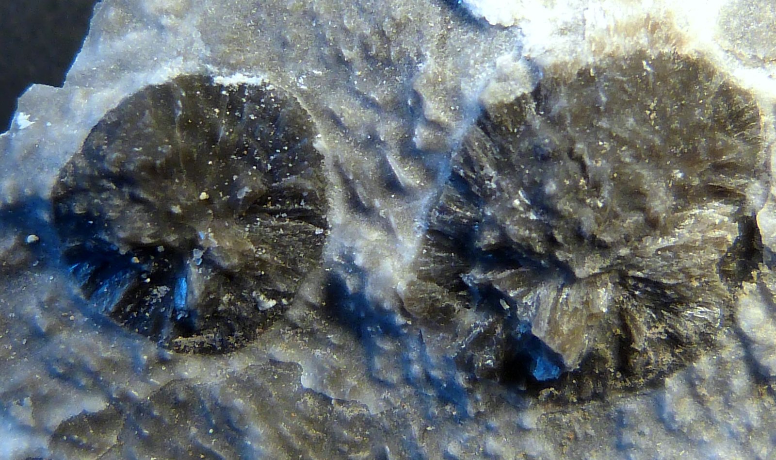 Yeso
7 x 10 x 2 cm.
(Autor: Felipe Abolafia)
