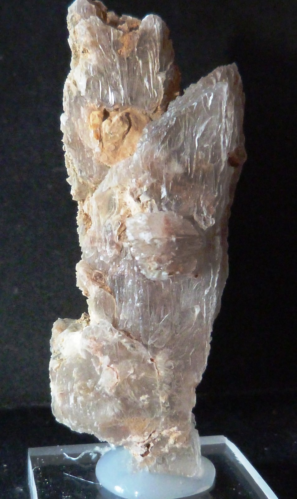 Yeso
2,5 x 7 x 2 cm.
(Autor: Felipe Abolafia)