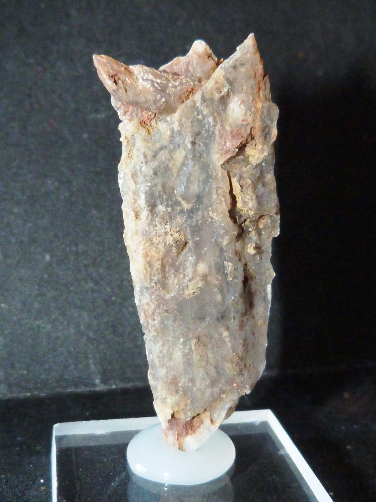 Yeso
2 x 5 x 0,7 cm.
(Autor: Felipe Abolafia)