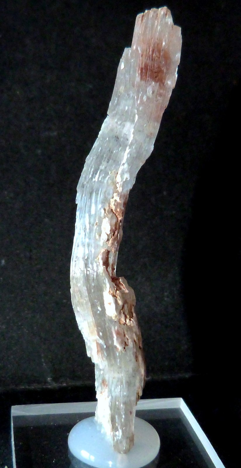Yeso
1 x 1 x 6,5 cm.
(Autor: Felipe Abolafia)