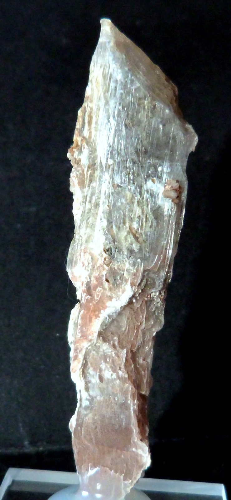 Yeso
1,5 x 7 x 1 cm.
(Autor: Felipe Abolafia)