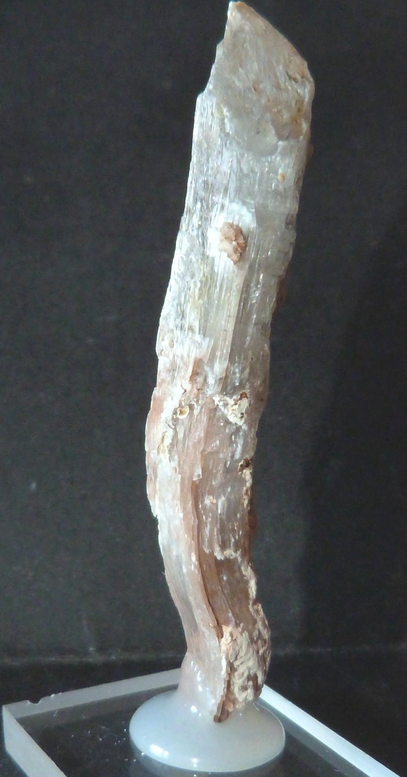 Yeso
1 x 1 x 6,5 cm.
(Autor: Felipe Abolafia)