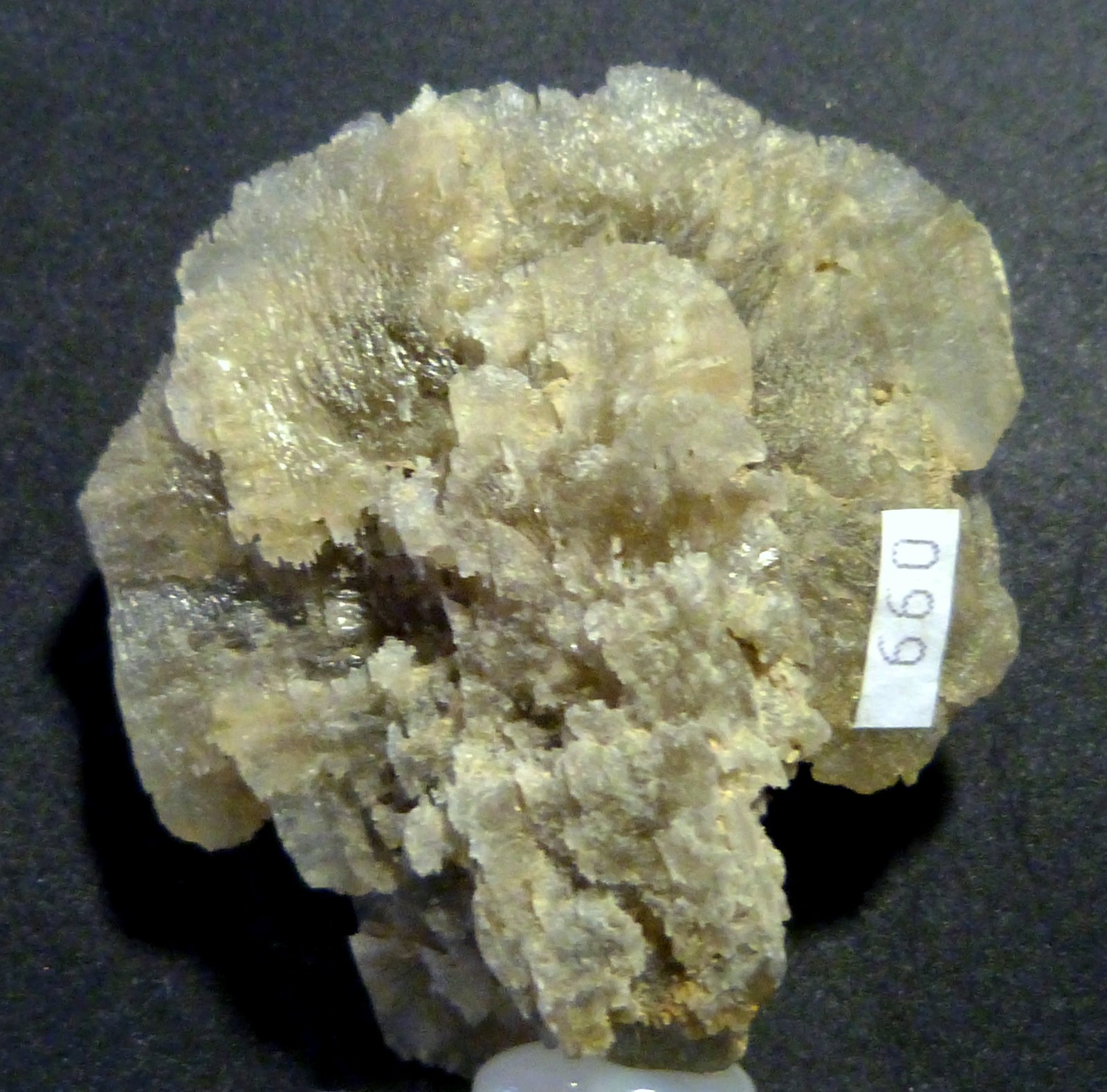 Yeso
7 x 5 x 5 cm.
(Autor: Felipe Abolafia)