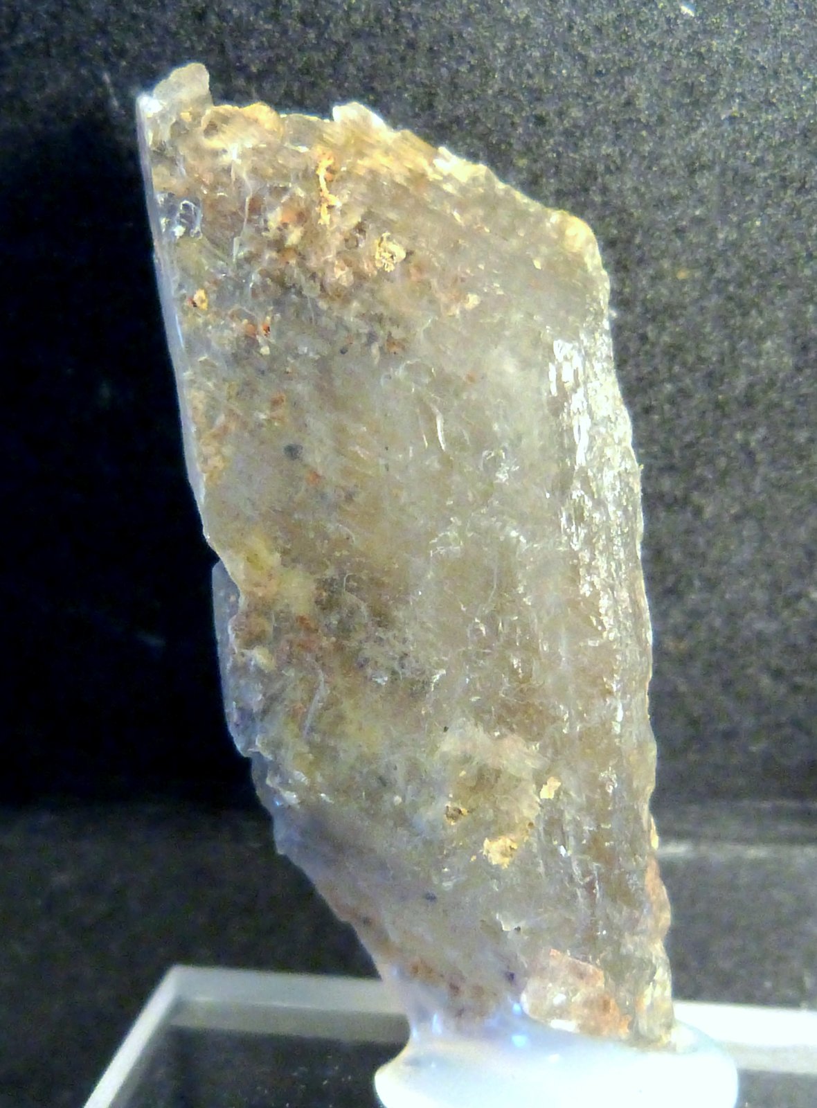 Yeso
1,8 x 3,5 x 1,5 cm.
(Autor: Felipe Abolafia)