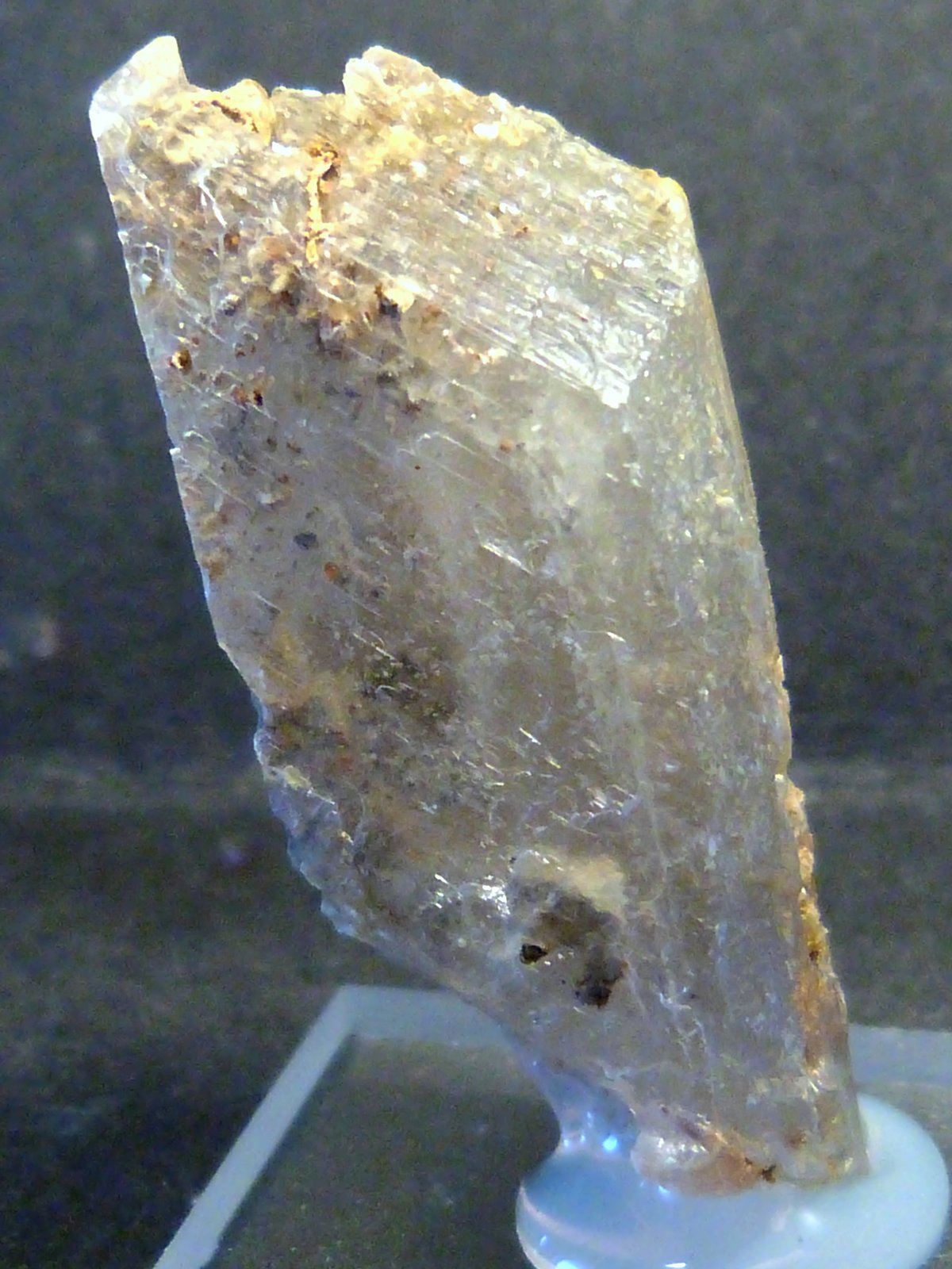 Yeso
1,8 x 3,5 x 1,5 cm.
(Autor: Felipe Abolafia)