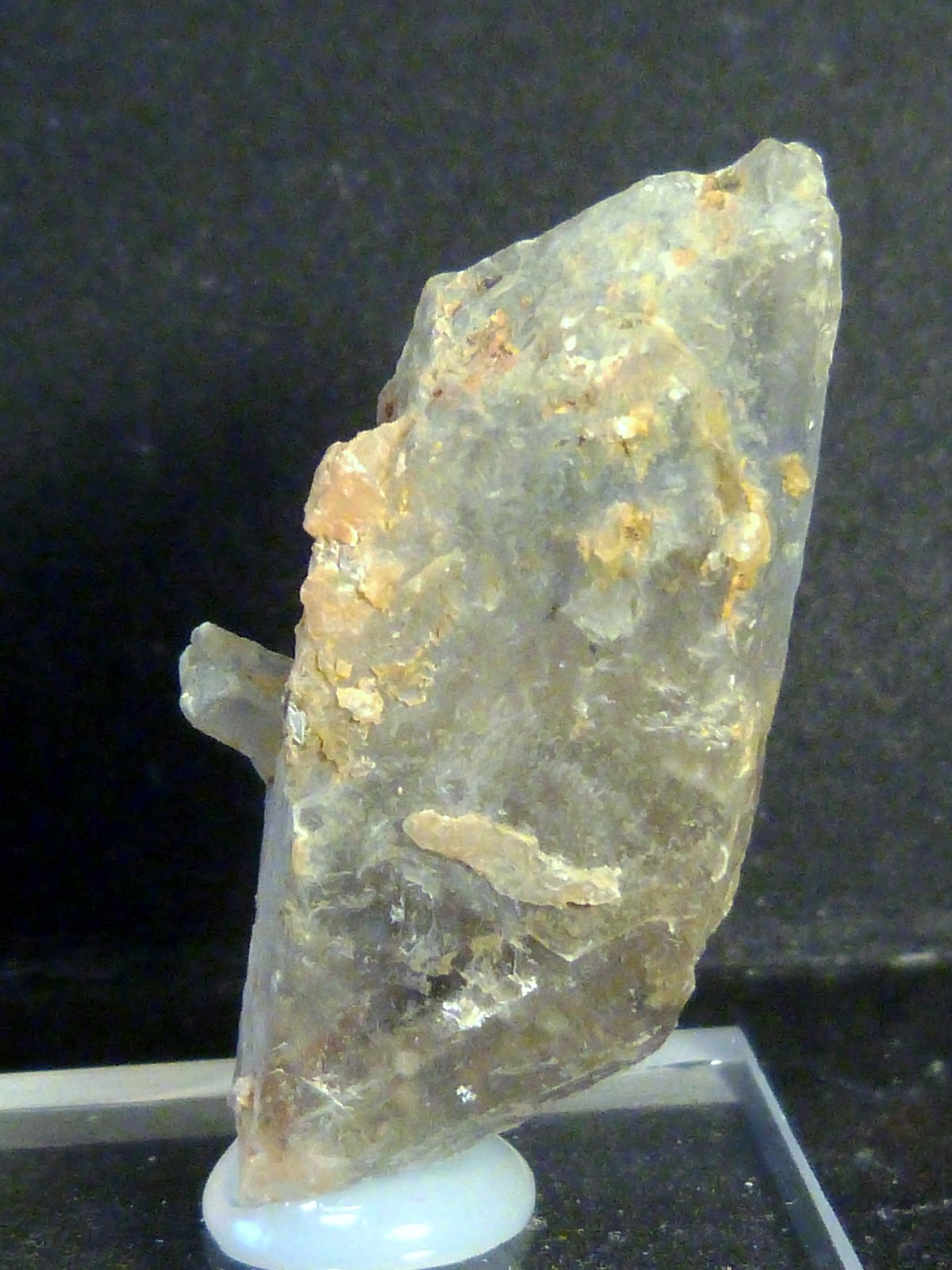 Yeso
1,8 x 3,5 x 1 cm.
(Autor: Felipe Abolafia)