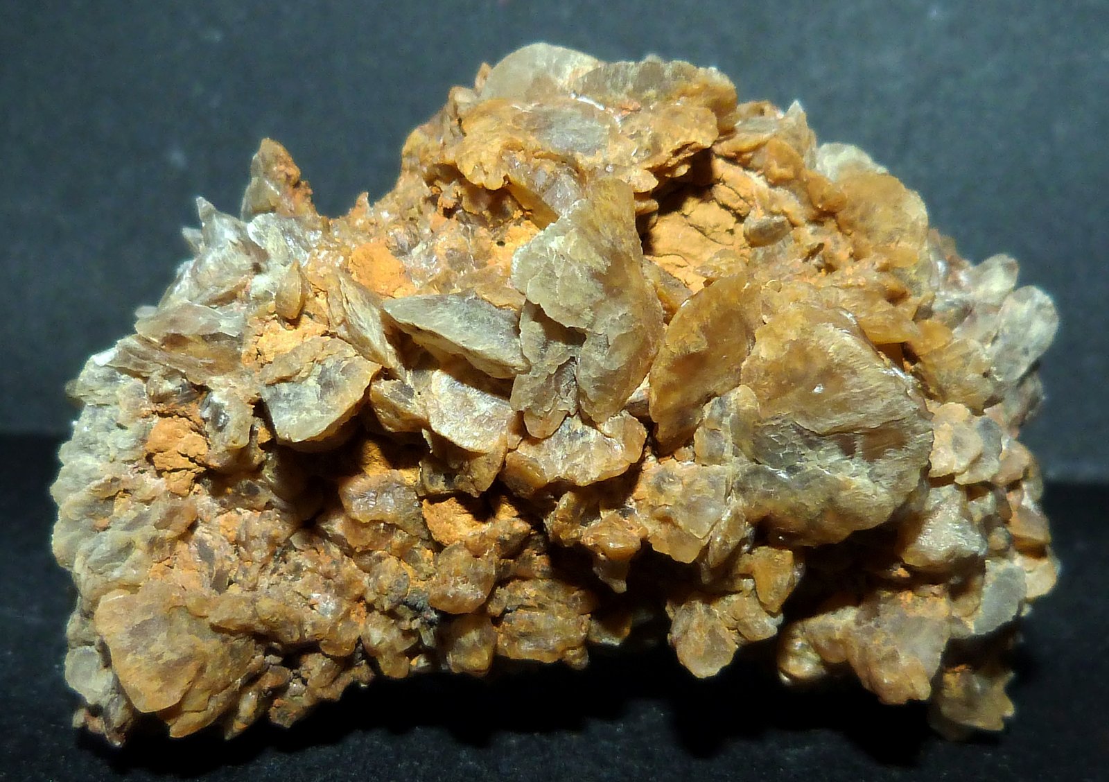 Yeso
6 x 3 x 3,5 cm.
(Autor: Felipe Abolafia)