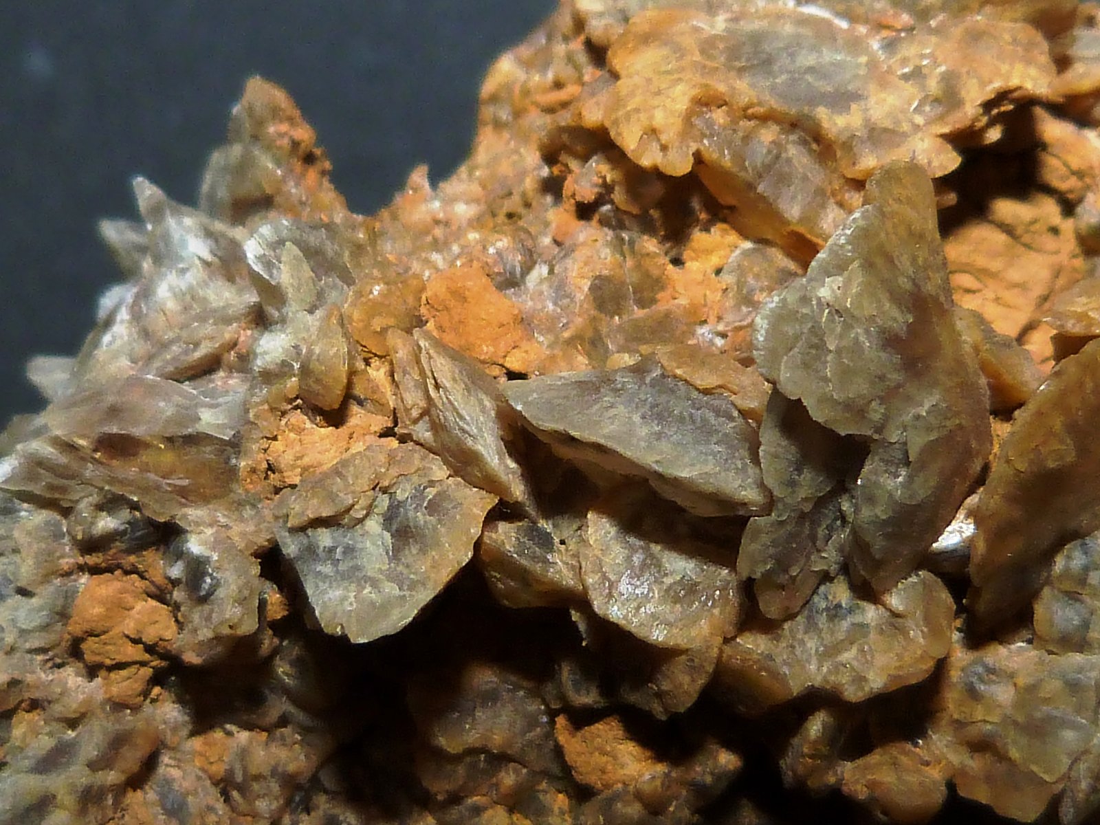 Yeso
6 x 3 x 3,5 cm.
(Autor: Felipe Abolafia)