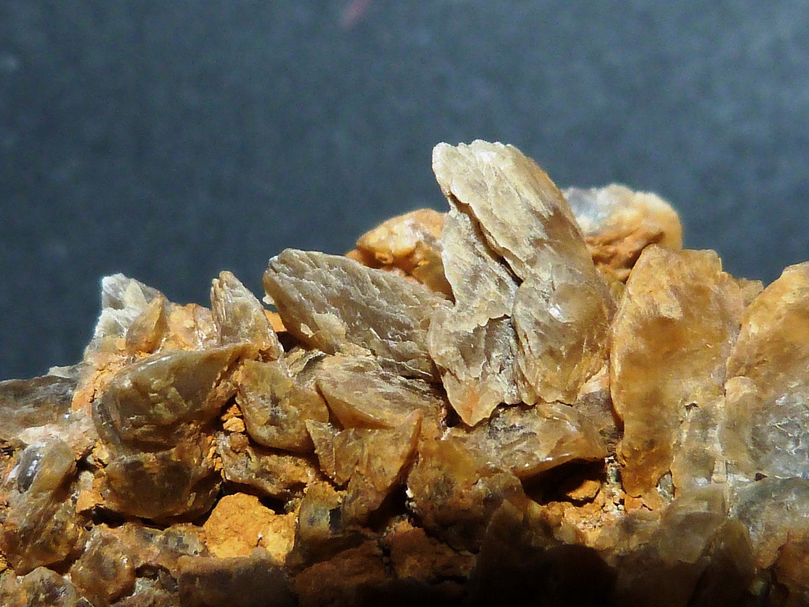 Yeso
6 x 3 x 3,5 cm.
(Autor: Felipe Abolafia)
