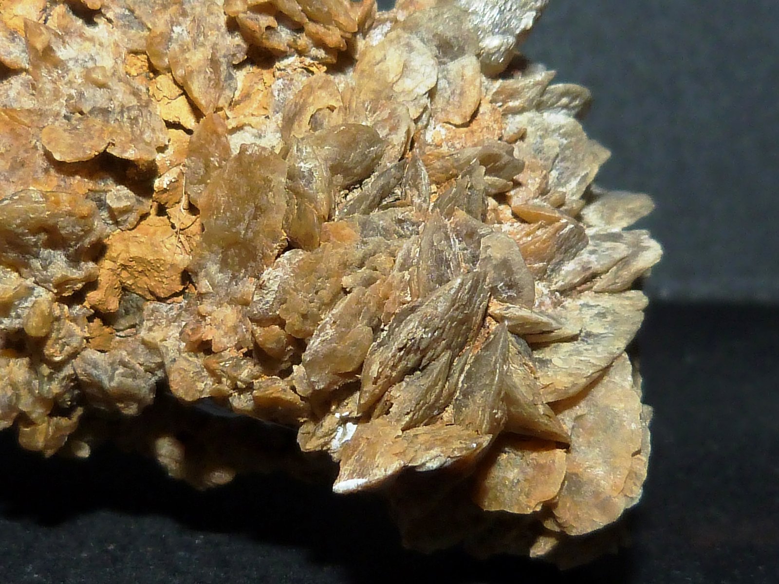 Yeso
6 x 3 x 3,5 cm.
(Autor: Felipe Abolafia)