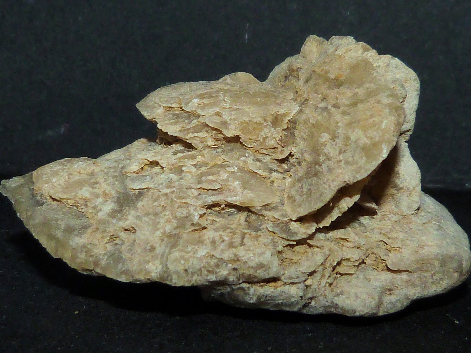 Yeso
5 x 6 x 3 cm.
(Autor: Felipe Abolafia)