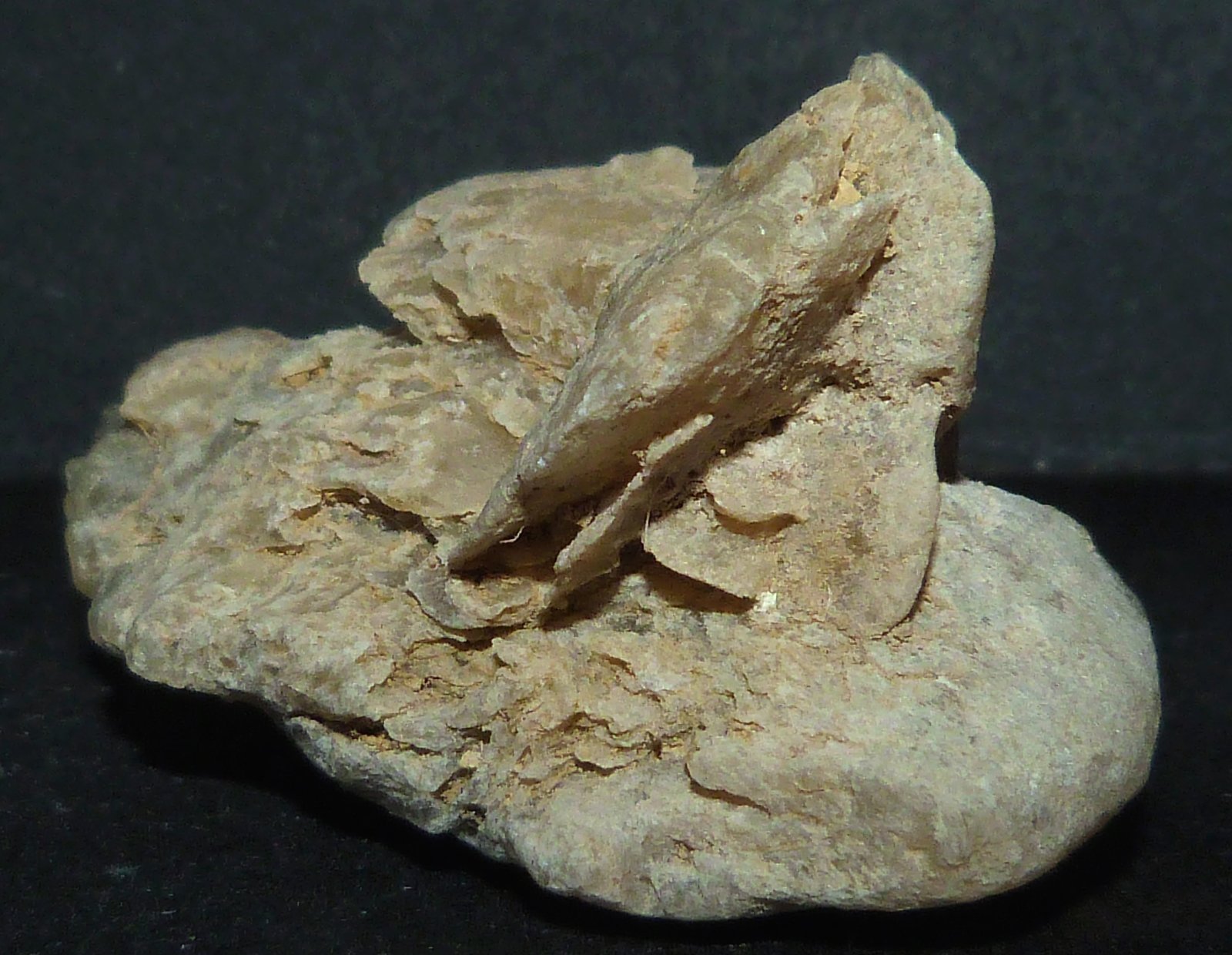 Yeso
5 x 6 x 3 cm.
(Autor: Felipe Abolafia)