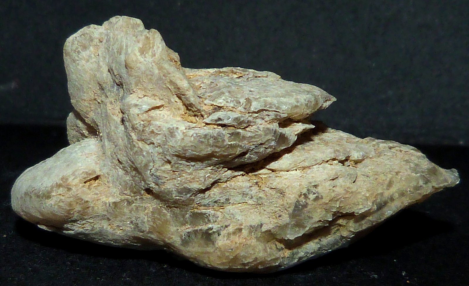 Yeso
5 x 6 x 3 cm.
(Autor: Felipe Abolafia)
