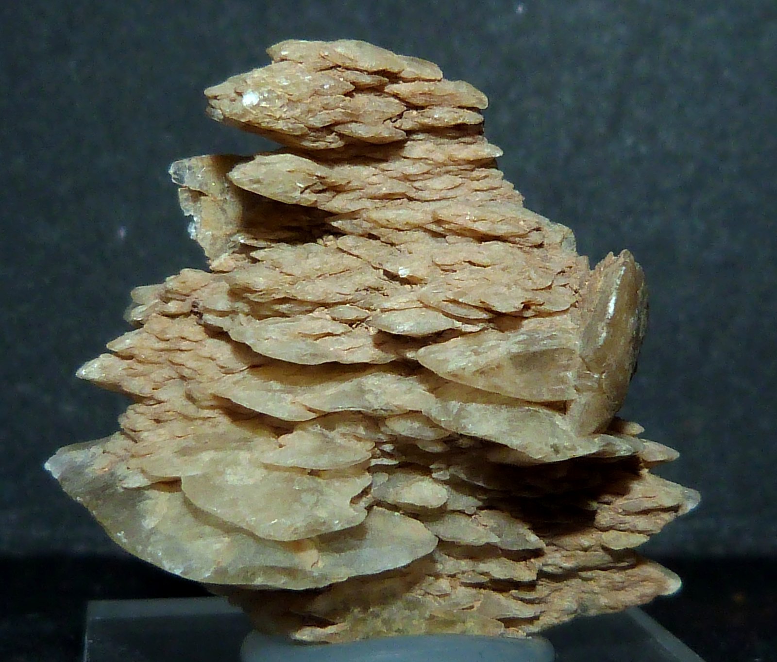 Yeso
3,5 x 3 x 2 cm.
(Autor: Felipe Abolafia)