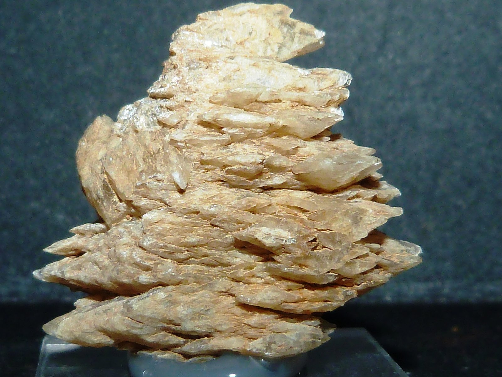 Yeso
3,5 x 3 x 2 cm.
(Autor: Felipe Abolafia)
