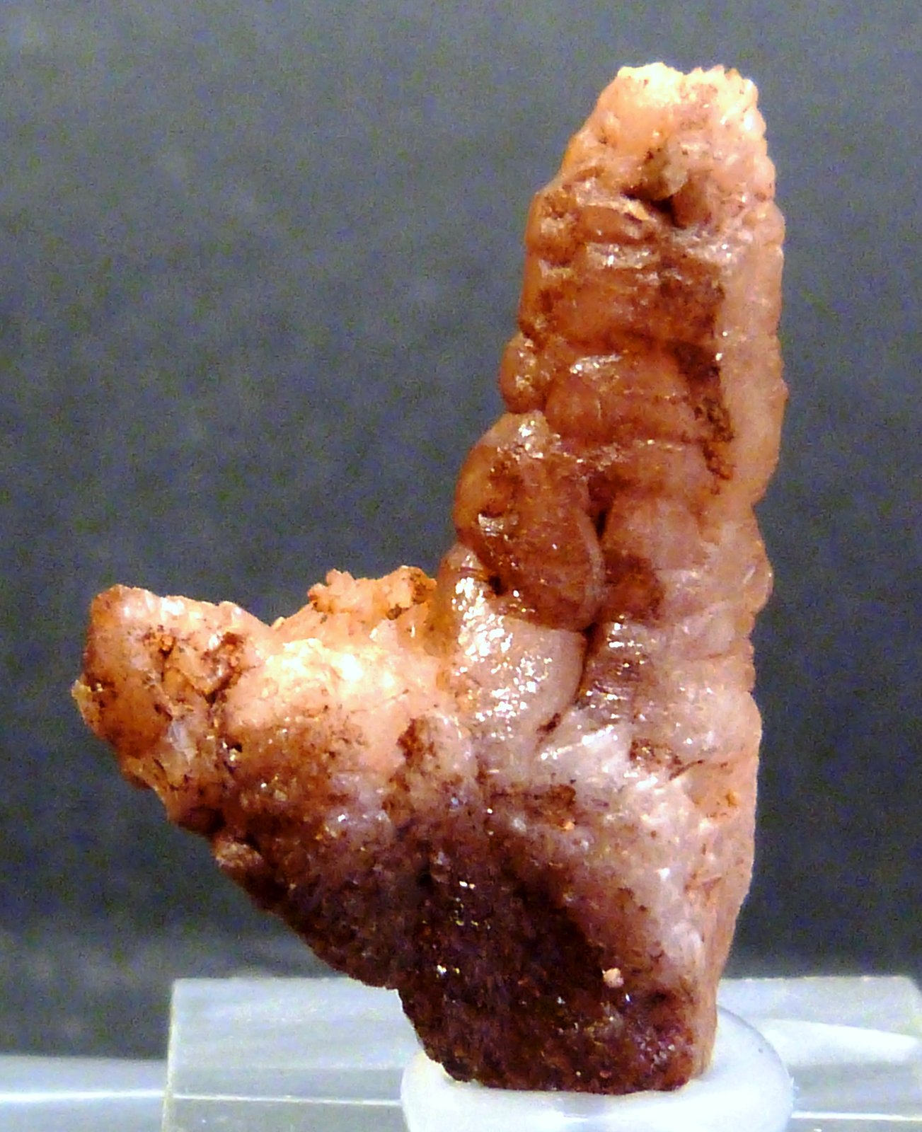 Cuarzo
1,5 x 2,5 x 1 cm.
(Autor: Felipe Abolafia)