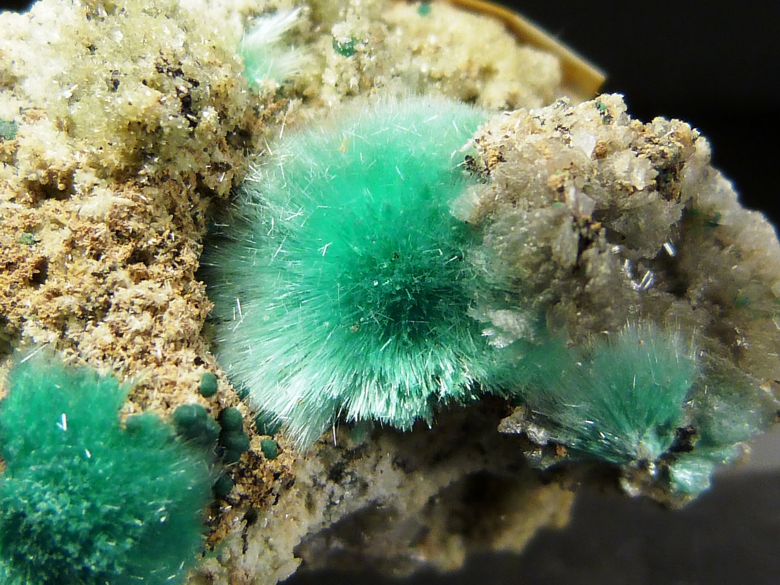 Auricalcita y hemimorfita
3 x 2 x 3 cm.
(Autor: Felipe Abolafia)