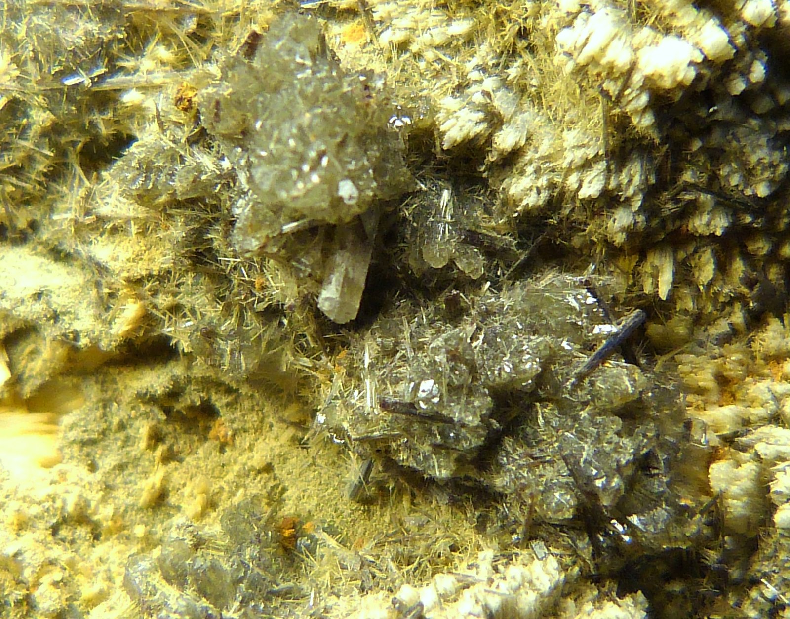 Prehnita y cuarzo (variedad prasio)
8 x 8 x 3,5 cm.
(Autor: Felipe Abolafia)
