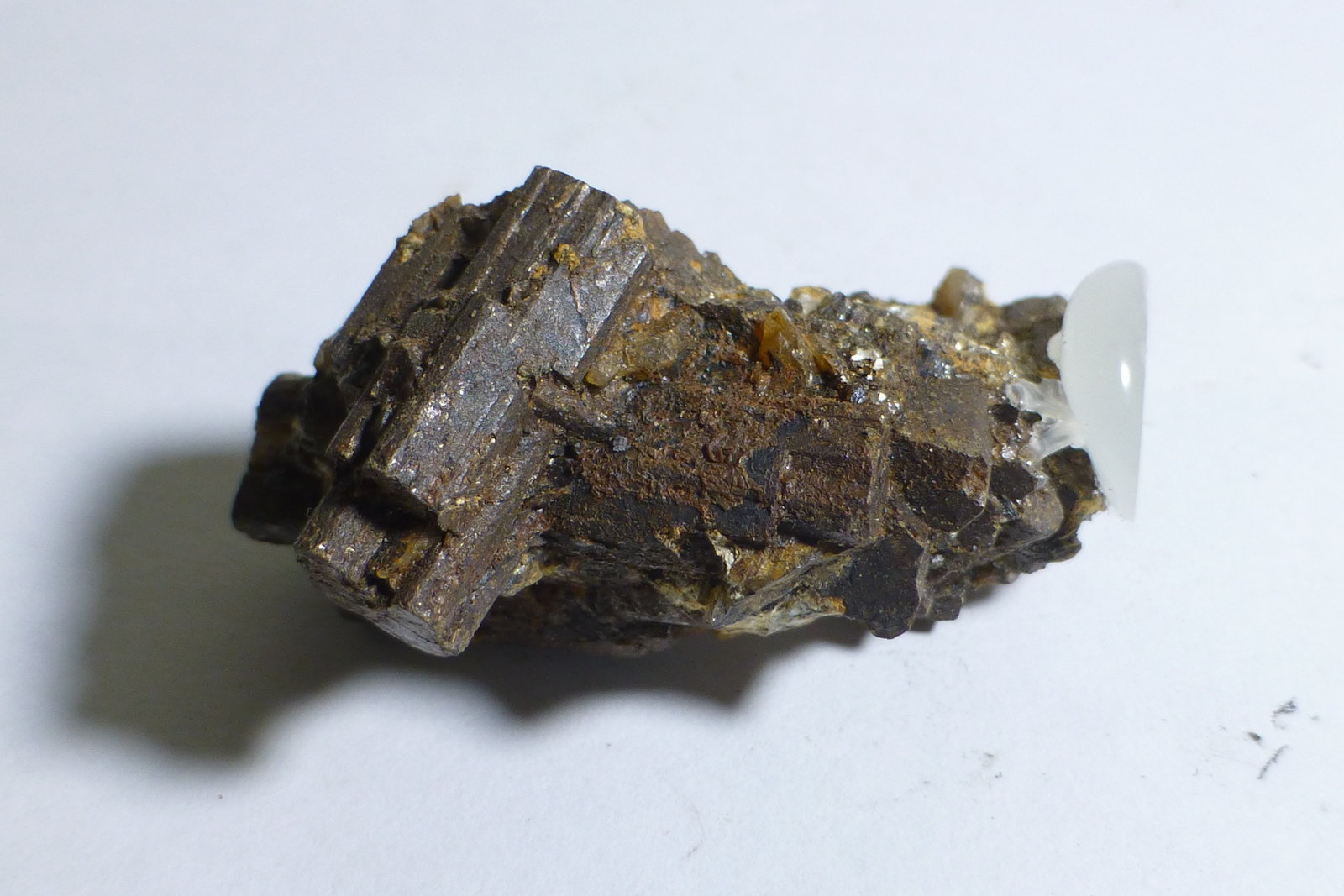 Clorita pseudo Cordierita
4,5cm en su medida mas larga.
(Autor: heat00)