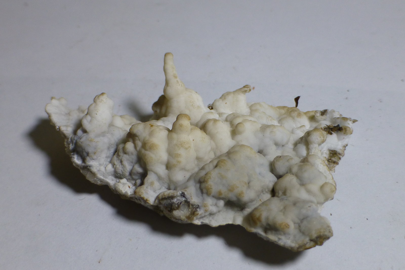 Aragonito
6x4cm
(Autor: heat00)