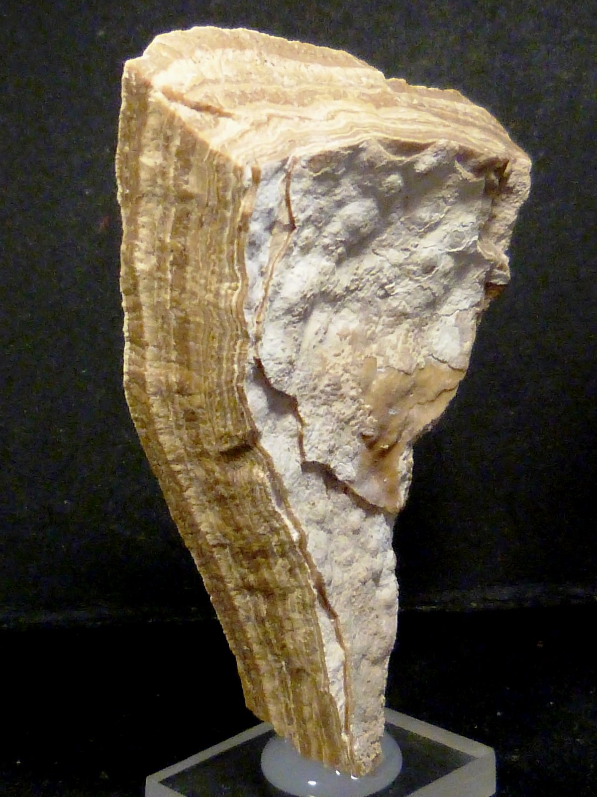 Calcita
5 x 7,5 x 1,5 cm.
(Autor: Felipe Abolafia)