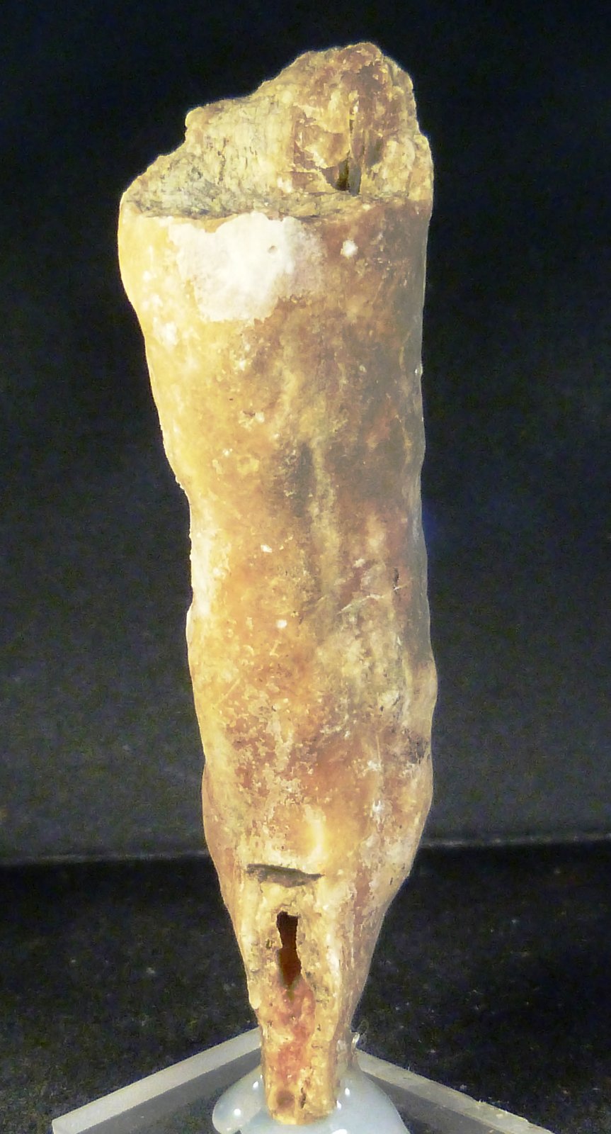 Calcita
2,5 x 9,5 x 2 cm.
(Autor: Felipe Abolafia)